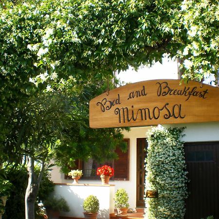 Bed And Breakfast Mimosa Cascina Bagian luar foto