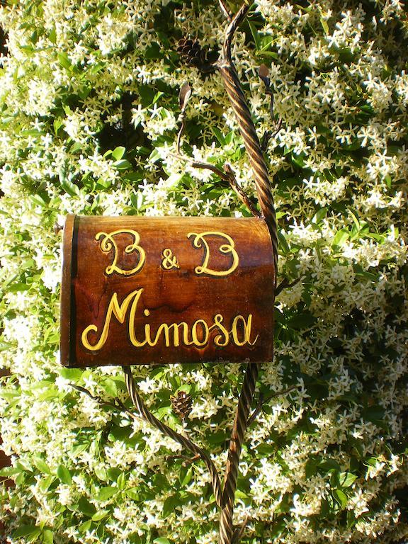 Bed And Breakfast Mimosa Cascina Bagian luar foto